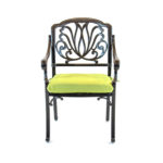 504141-Hanamint-Biscayne-Dining-Chair-Front-Green-Cushion-1.jpg